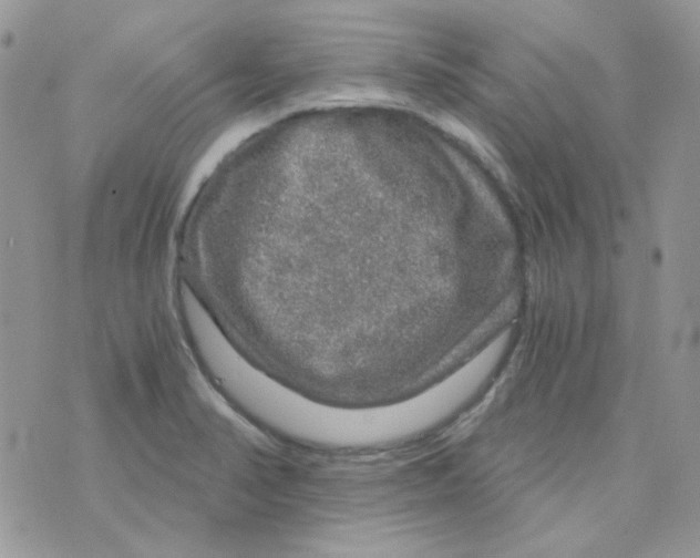 X0000073751374200608311924