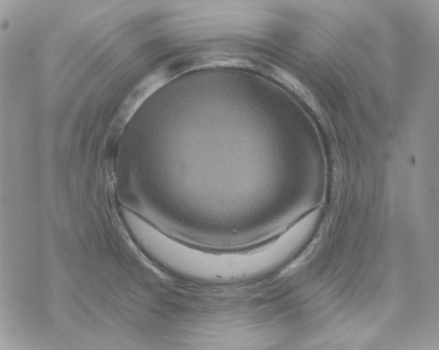 X0000073751377200608311924