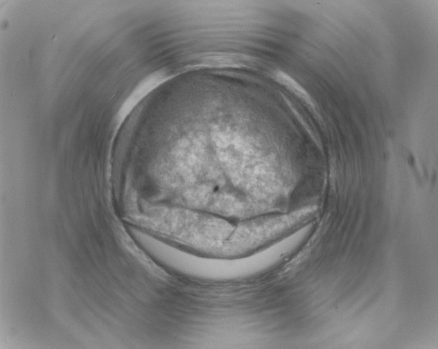 X0000073751378200608311924