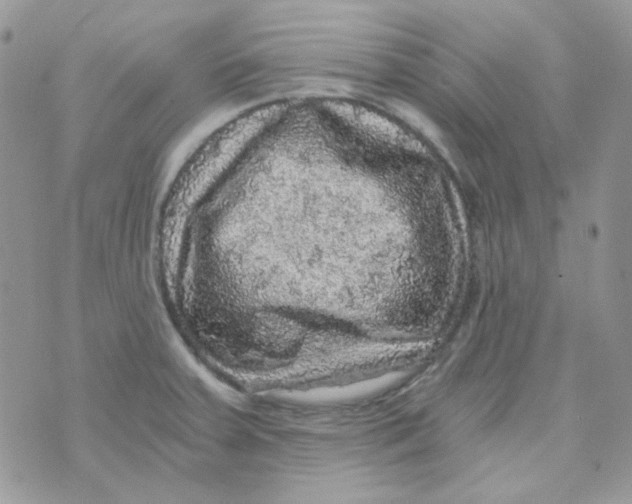 X0000073751379200608311924