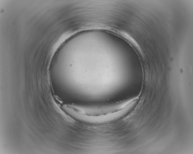 X0000073751380200608311924