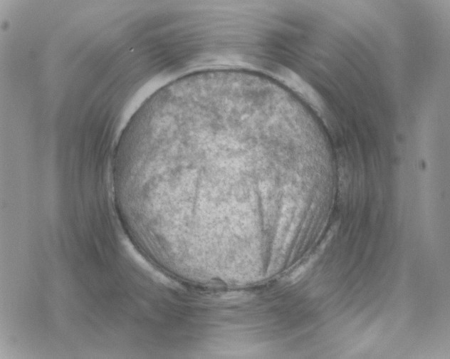 X0000073751382200608311924