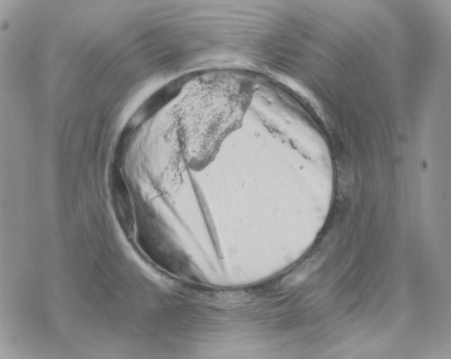 X0000073751383200608311924