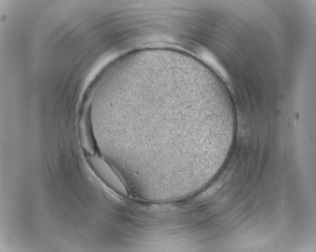 X0000073751384200608311924