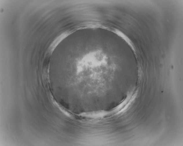 X0000073751385200608311924