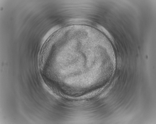 X0000073751386200608311924