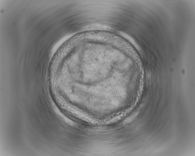 X0000073751387200608311924