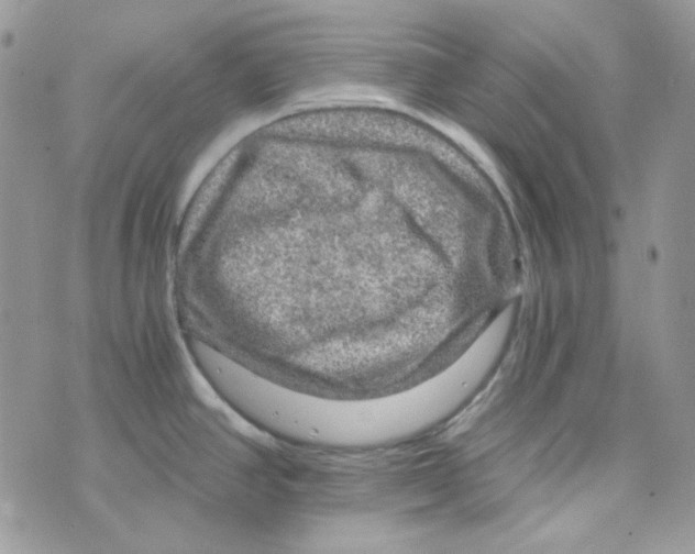 X0000073751390200608311924