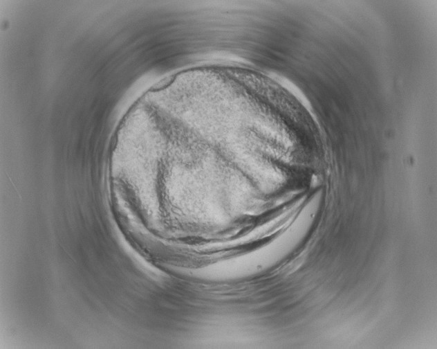 X0000073751391200608311924