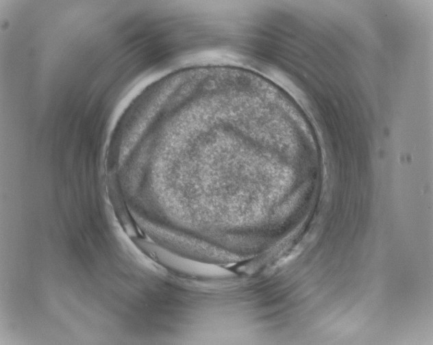 X0000073751392200608311924