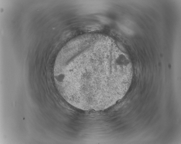 X0000073751393200608311923