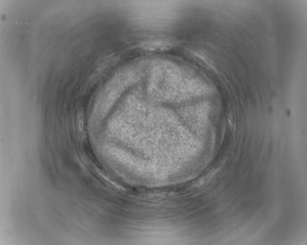 X0000073751396200608311923