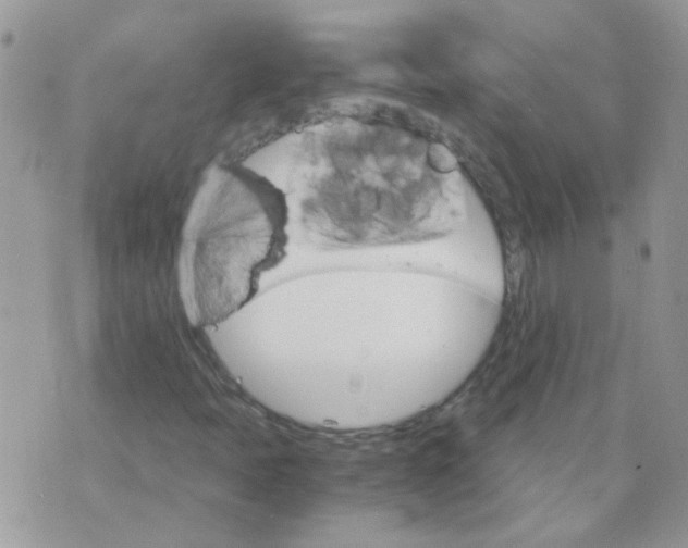 X0000073751397200608311923