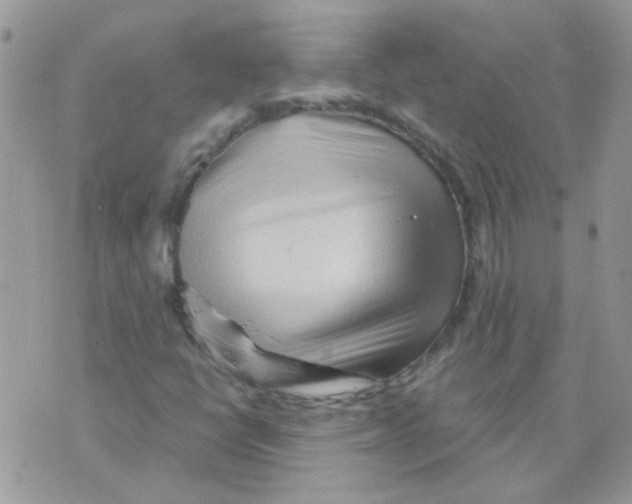 X0000073751398200608311923