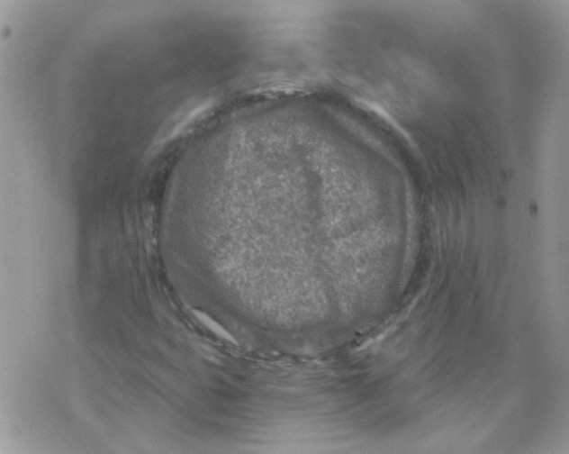 X0000073751399200608311923