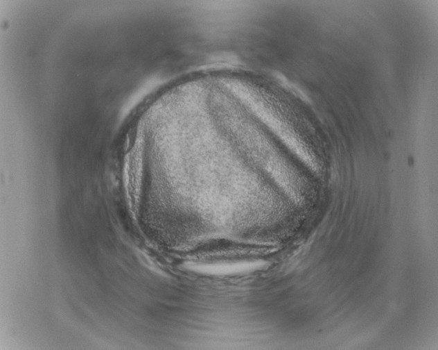 X0000073751400200608311923