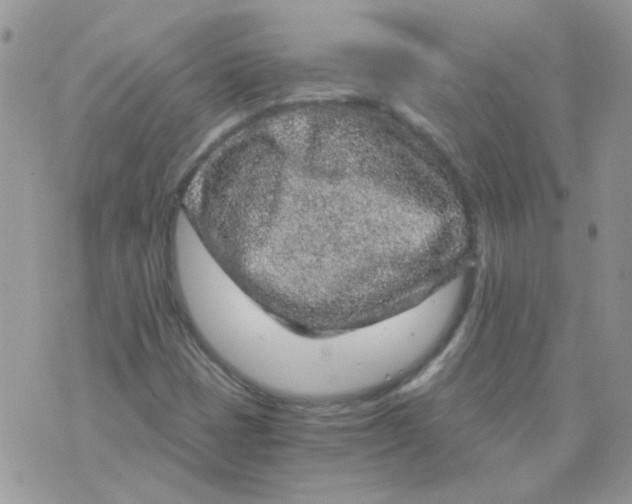 X0000073751401200608311923