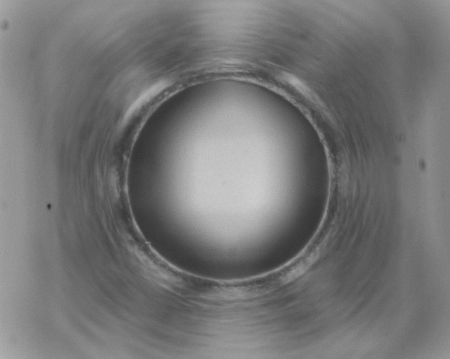 X0000073751402200608311923