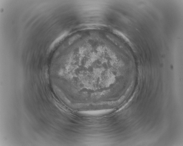 X0000073751403200608311923