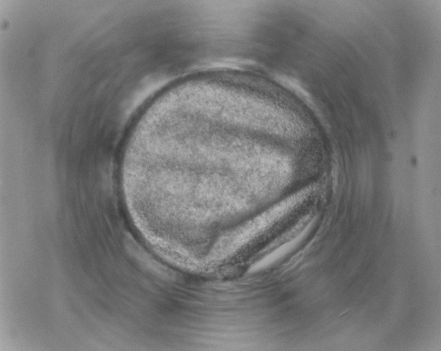 X0000073751404200608311923