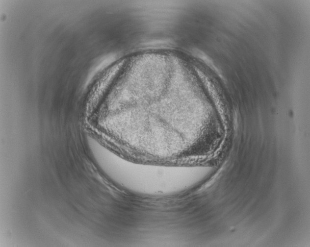 X0000073751405200608311923