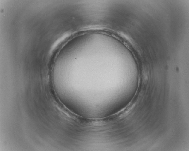 X0000073751406200608311923