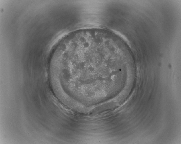 X0000073751407200608311923