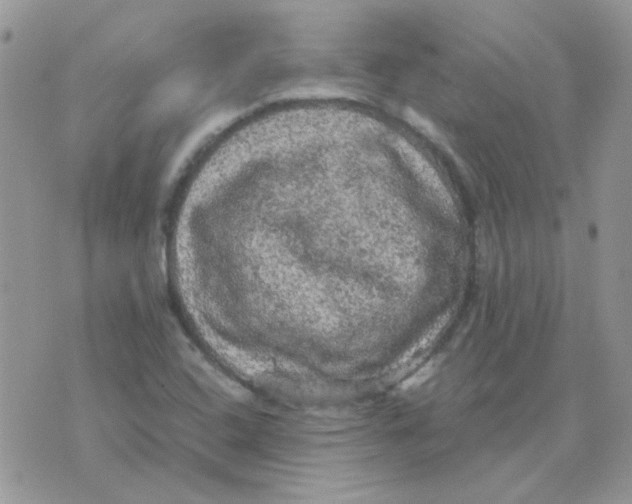 X0000073751408200608311924