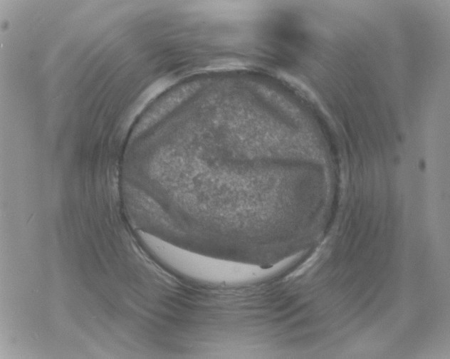 X0000073751409200608311924