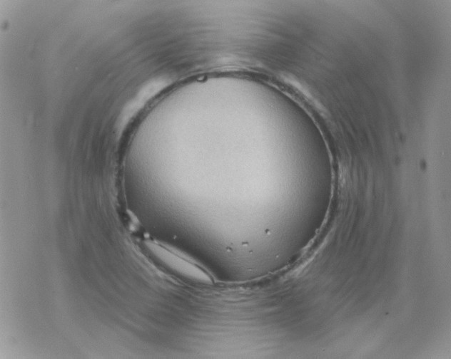 X0000073751410200608311924