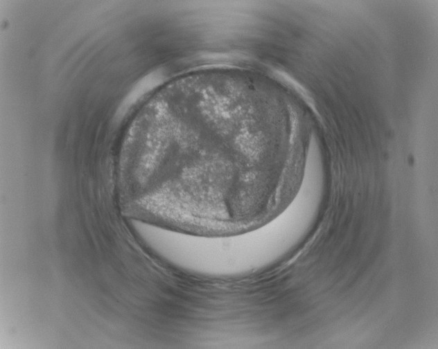 X0000073751411200608311924