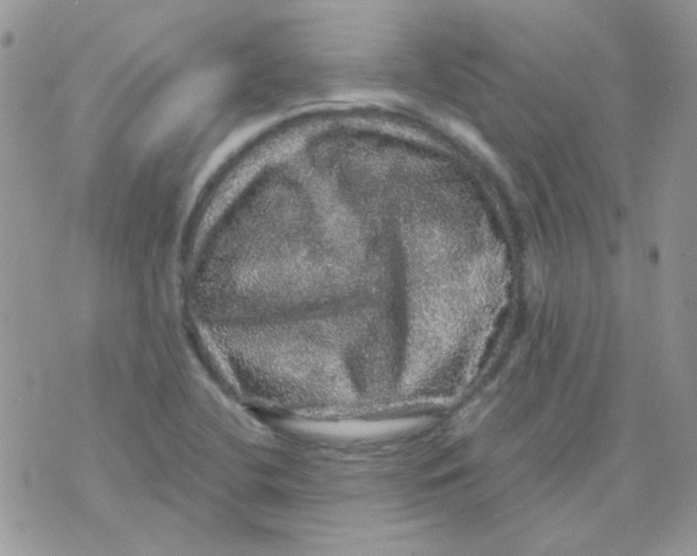 X0000073751412200608311924