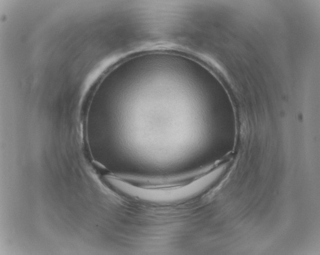 X0000073751414200608311924