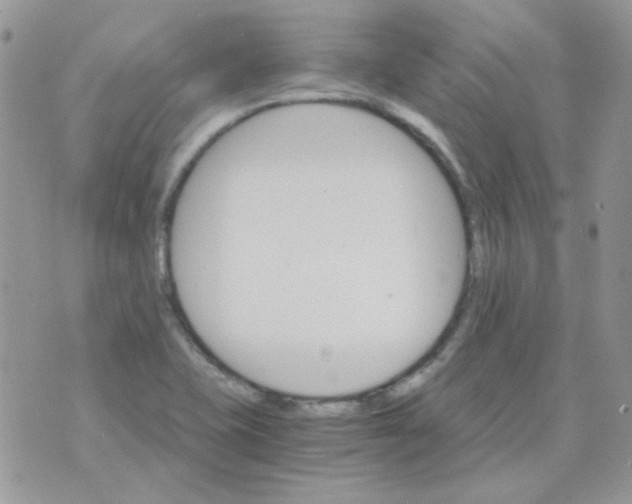 X0000073751415200608311924