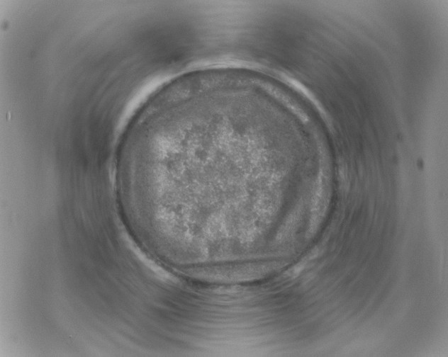 X0000073751416200608311924