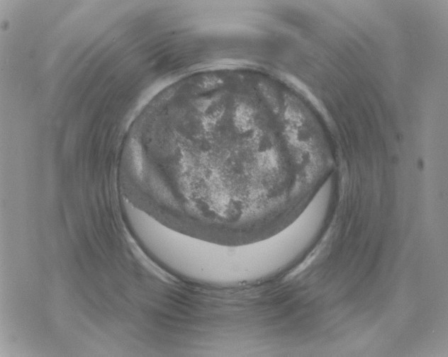 X0000073751417200608311924