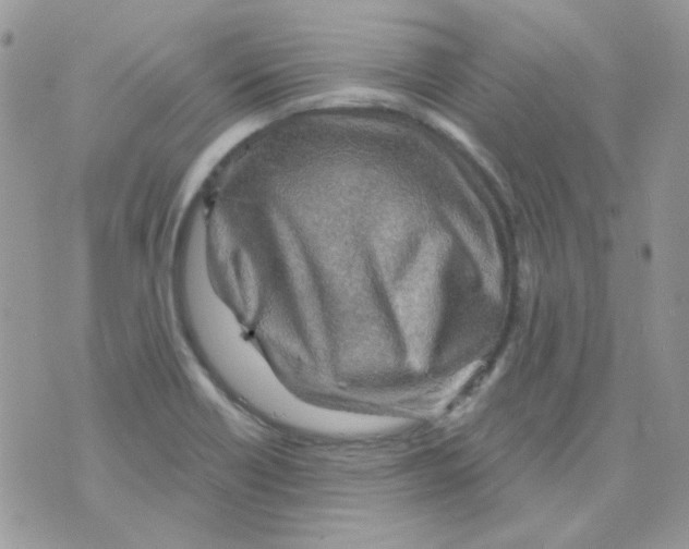 X0000073751418200608311924