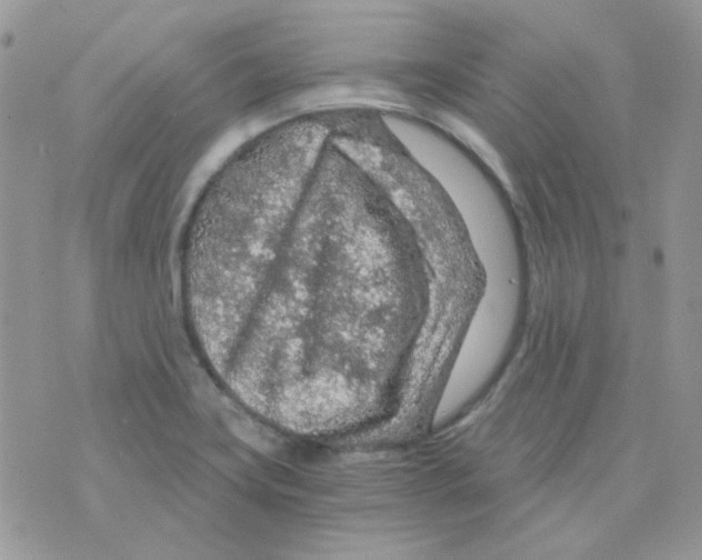 X0000073751419200608311924