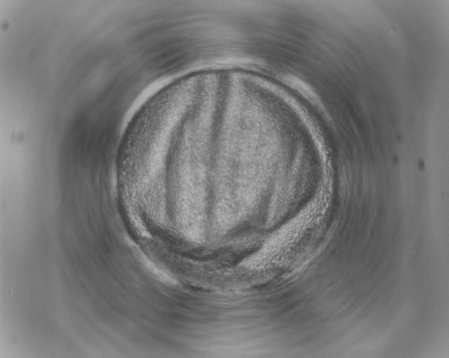 X0000073751420200608311924