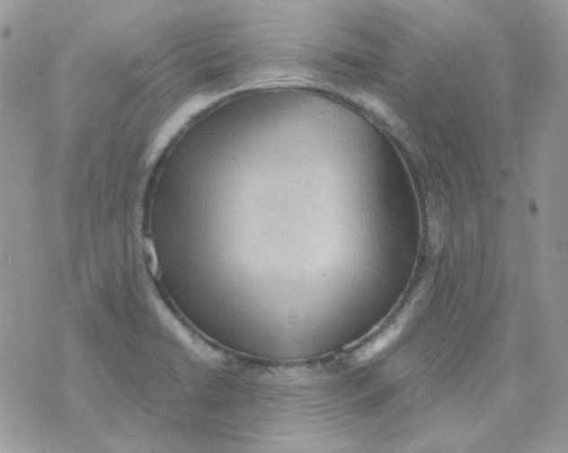 X0000073751422200608311924