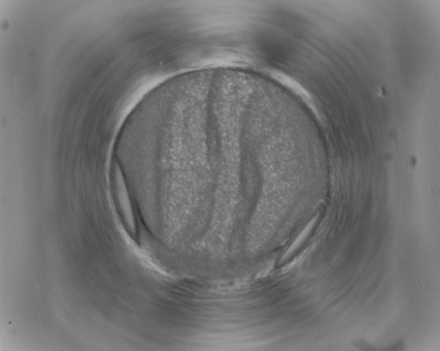 X0000073751423200608311924