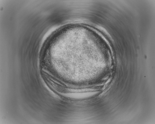 X0000073751424200608311924