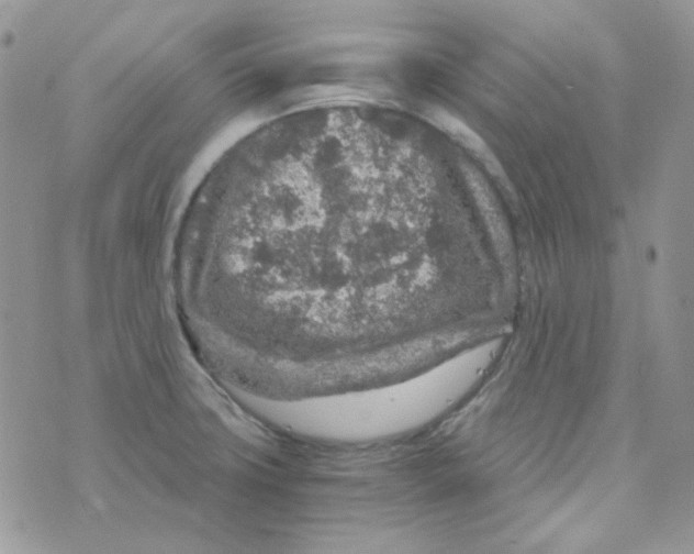 X0000073751427200608311924