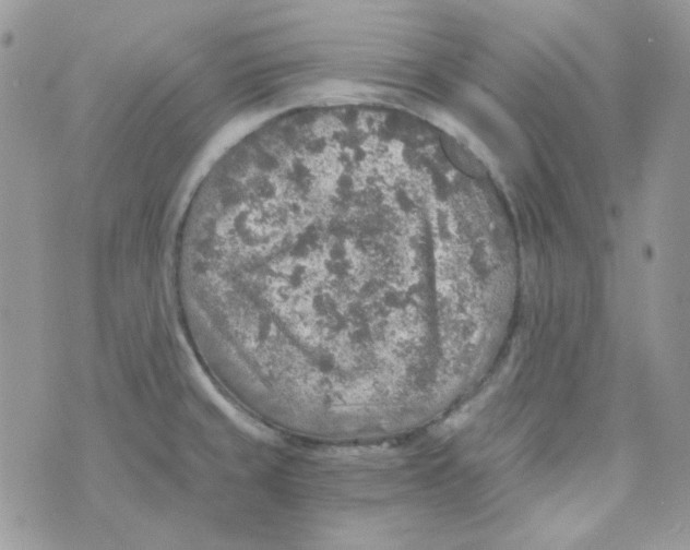 X0000073751429200608311924