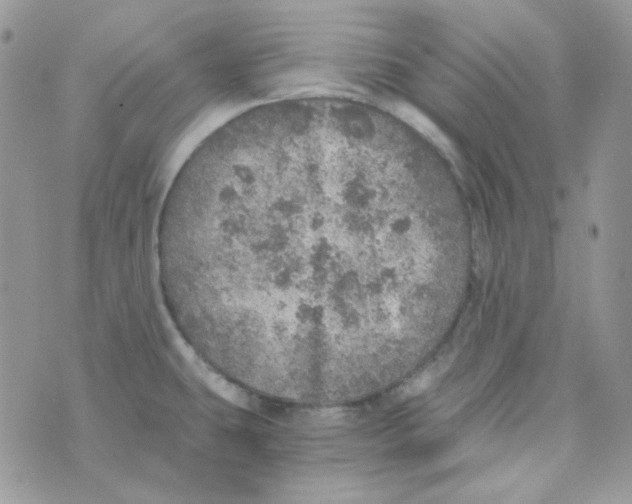 X0000073751431200608311924