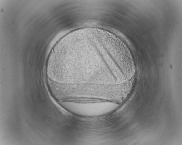 X0000073751432200608311924