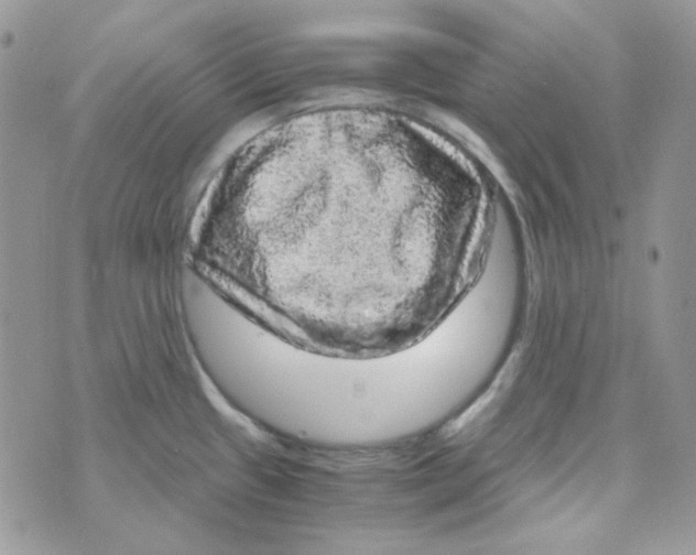 X0000073751433200608311924