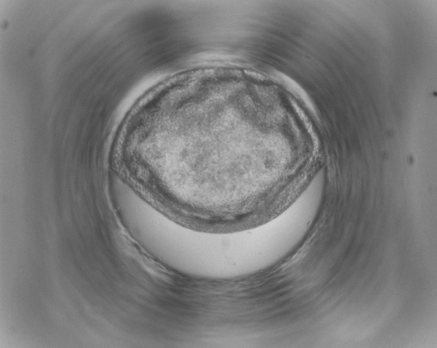 X0000073751435200608311924