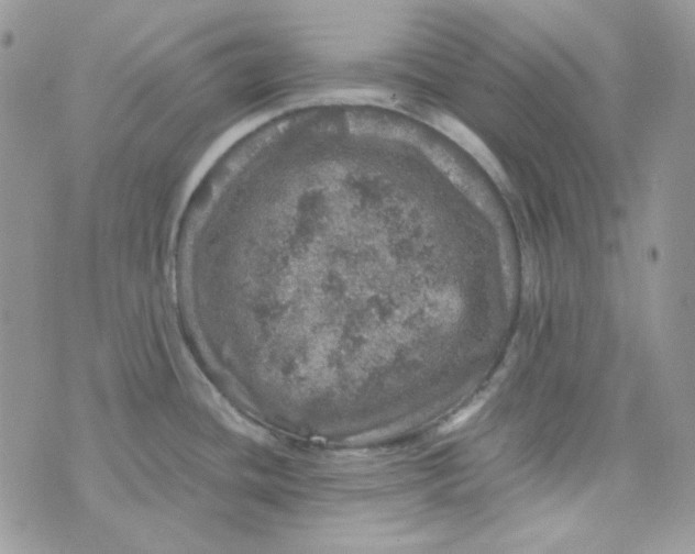 X0000073751436200608311924