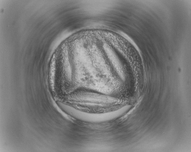 X0000073751437200608311924